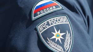 Более 600 человек эвакуировали из-за пожара в Ленобласти