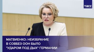 Матвиенко: неизбрание в Совбез ООН было «ударом под дых» Германии