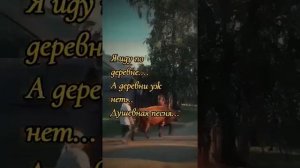 я иду по деревне