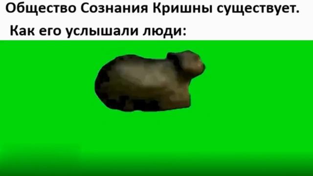Общество Сознания Кришны существует