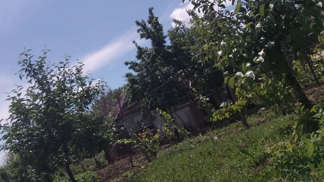 1000036779.mp4 смотреть онлайн