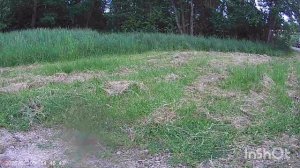 loncin xwolf 550,1000 лес и по городу.