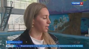 Мою работу и там где я работаю показали в новостях .