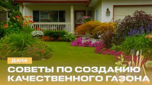 Как создать идеальный газон? Когда обрезать малину? | Плетем забор из ивы | Дача