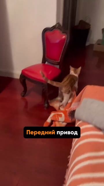 Передний привод смотреть онлайн