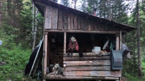 ДВОЕ СУТОК В ИЗБЕ «КОРМЛЮ КОМАРОВ И МОШЕК.»