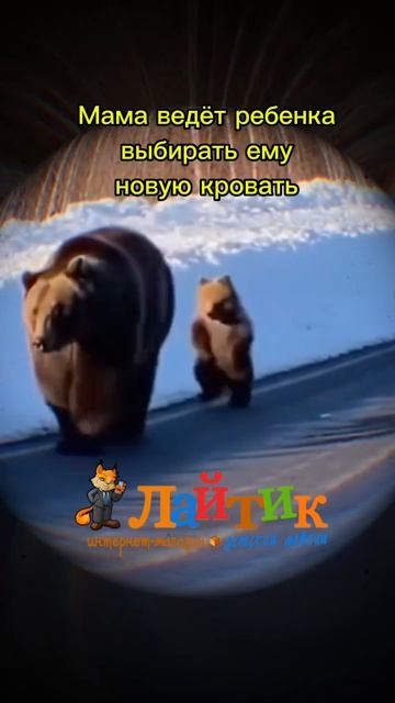 Комфортное обновление
