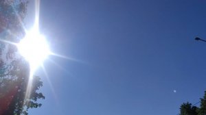 6 июня в честь дня рождения Волгебника