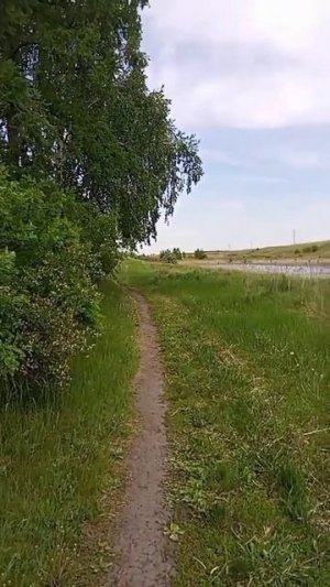 Прогулка по парку