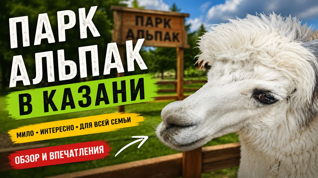 Парк Альпак в Казани 🦙 | Сгоняли на Выходных к Альпакам (Прикольные Морды) Пача Мама Казань