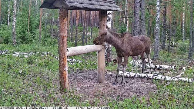 1000035185.mp4 смотреть онлайн