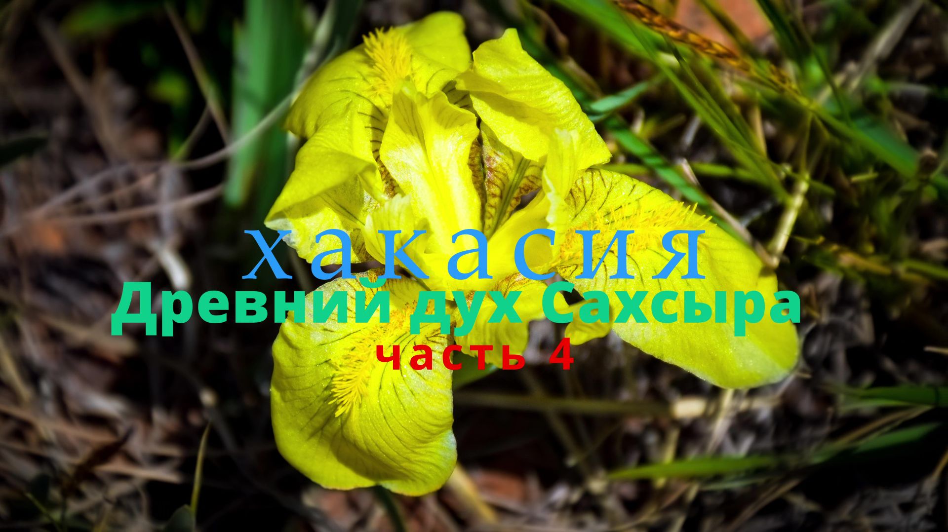 Хакасия. Древний дух Сахсыра. Часть 4