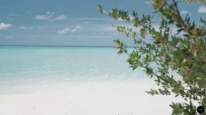 Sandy Serenity 🏖️ - Ambient Lounge