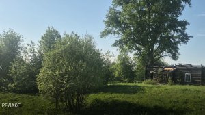 РЕЛАКС  Пение птиц успокоят ваш разум ~ Обретите ясность ума за считанные минуты
