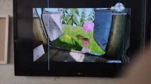 katastrofa_mashi_2016.mp4 (Но запись с телефона)