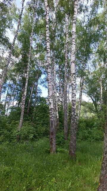 Открытие водомоторного сезона на канале имени Москвы на лодке Салют 46