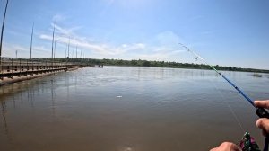 МОРМЫШИНГ не страшно