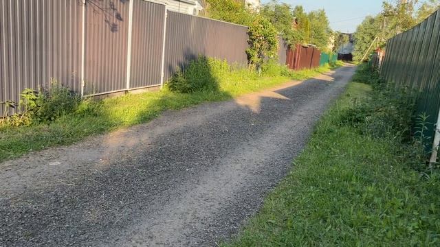 Чуть мужа не увели 🤣. Мои шаровидные туи. Чеснок Бориса. смотреть онлайн