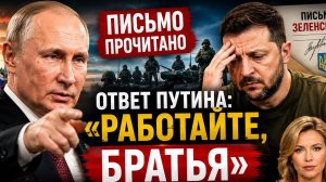 Зеленский написал большое письмо. Путин ответил гораздо короче. #новости #украина #россия