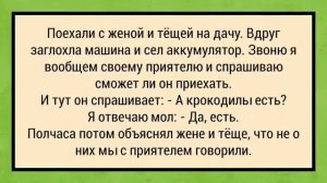 У_меня_жена_тоже_блондинка!_Сборник_Анекдотов_№5_Юмор!