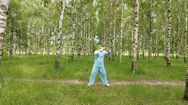 Упражнения с ротанговыми кольцами Вин Чун (23)