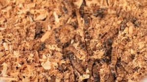 100 Слоев Еды Челлендж # Потрясающие Кухонные Лайфхаки ч. 9
