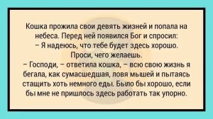 #анекдоты #юмор #Вирус #Тренды #Развлечения #Смешно #смешныеанекдоты