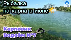 Рыбалка на карпа в июне на поплавок🎣. Карповик - Ставропольский край