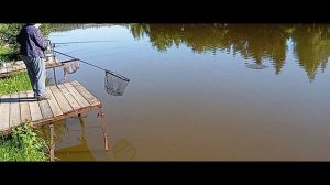 Светлые Горы Карп 06.06.2026г.