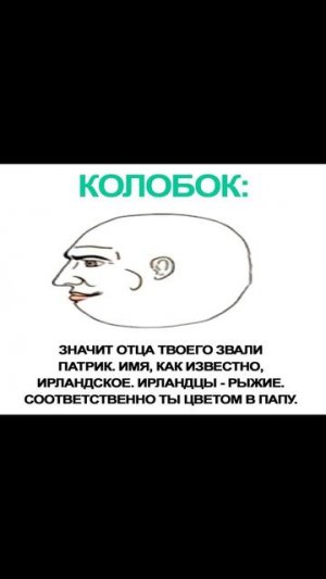 Котик и бургер