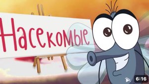 Насекомые