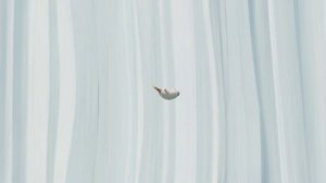 Тюленьки 19 серия