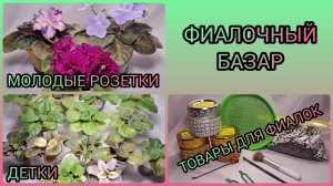 Фиалочный базар.
