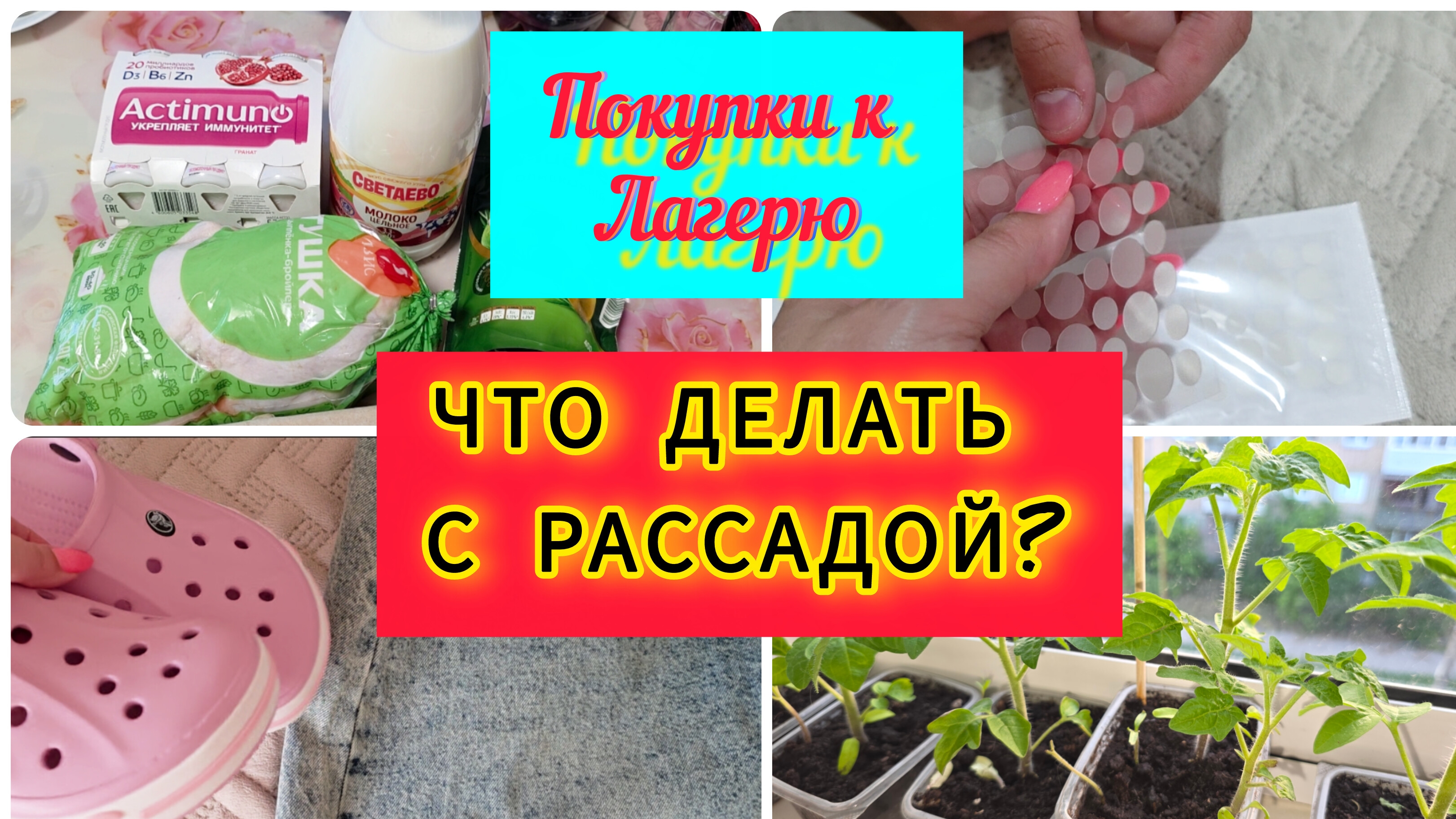 Сборы в лагерь / Что делать с рассадой ? / Что купили в Чижик/ смотреть онлайн