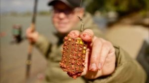 В чем основное отличие Фидера от Донки