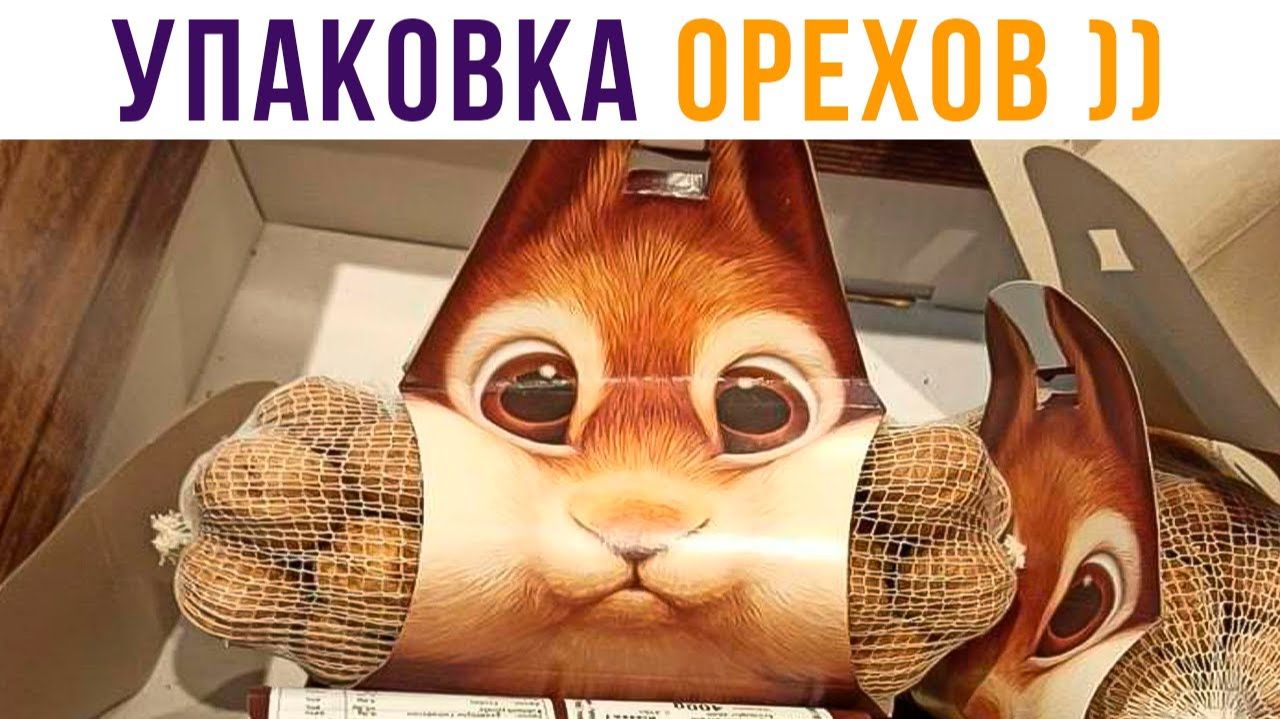 Дизайнеры не зря свои ОРЕХИ ЕДЯТ))) Приколы смотреть онлайн
