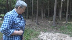 Использование древесины на огороде участок в хвойном лесу ускоренное разложение пней