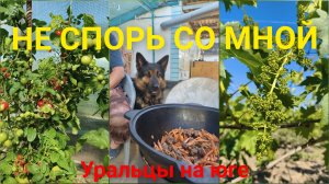 Южный край это рай!Все женщины спорят/ПЛОВ.