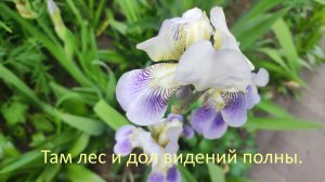 Поехали ужинать, а попали в лес.