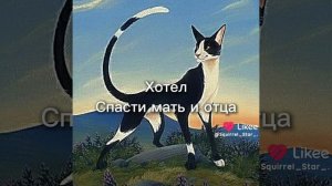 всë правда