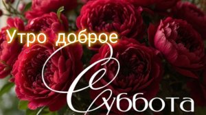 С добрым субботним утром. Красивая музыкальная открытка.