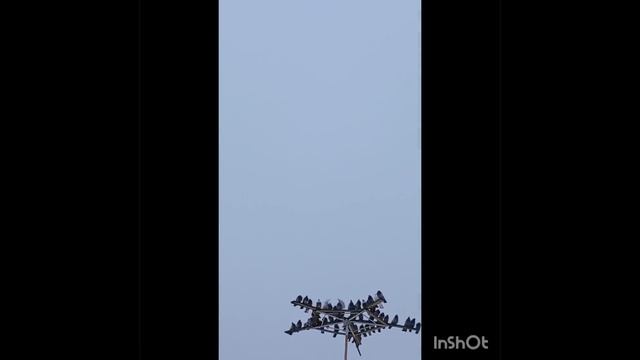 572.mp4 смотреть онлайн