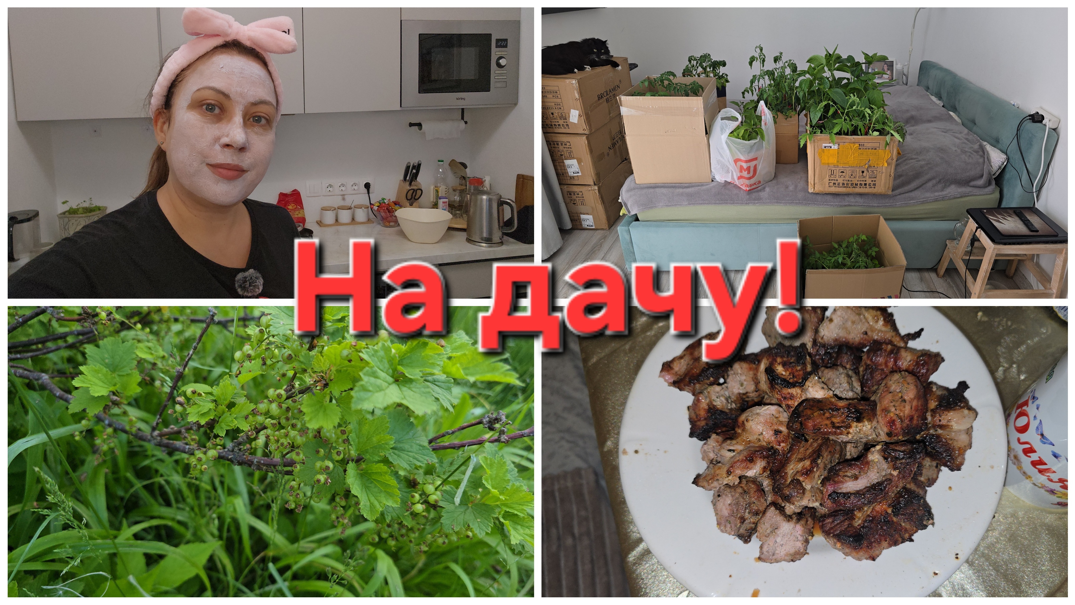 06-06-2026 Уехали на дачу! смотреть онлайн