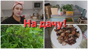 06-06-2026 Уехали на дачу!