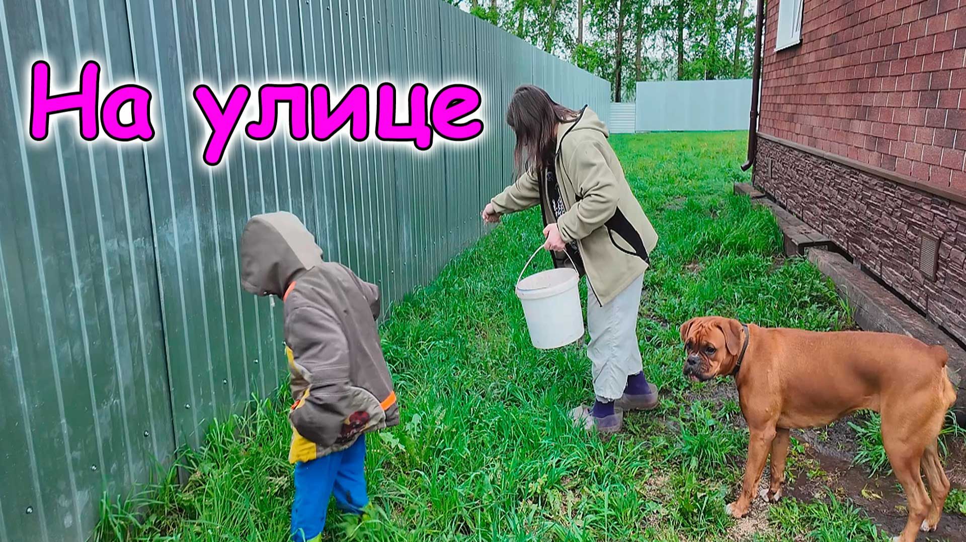 Сажаем газонную траву. Ночь кино. (06.26г.) Семья Бровченко.
