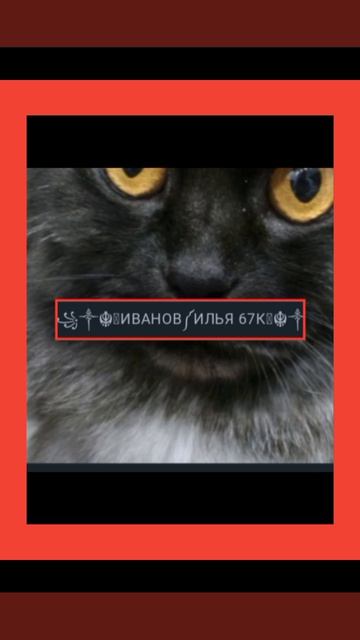 Лучший подписчик!💕 смотреть онлайн