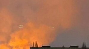 Животные ударили по детям в брянской области.
