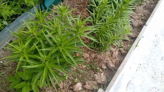 Запас карман не тянет. смотреть онлайн