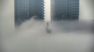 Dub Deep Techno Mix 2026  Fog District  Cinematic Visuals