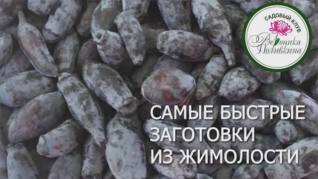 Самые быстрые заготовки из жимолости смотреть онлайн